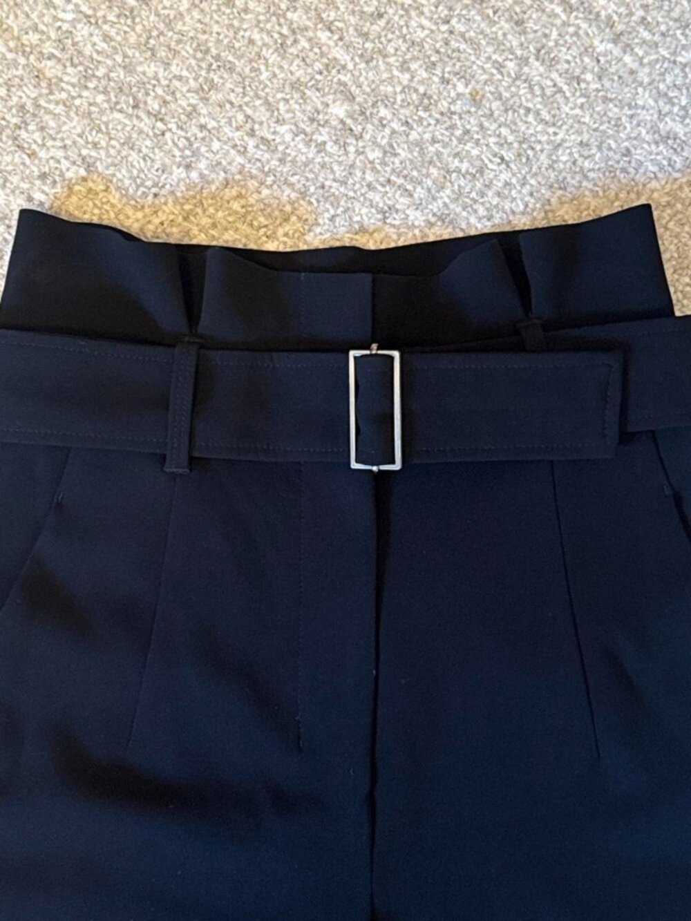 Aritzia Babaton Jermaine Pant - Picture 5 of 6